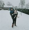 Beringen - Hond in de sneeuw