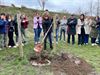 Beringen - Duitse boom geplant op campus De Beerring