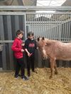 Bocholt - Eerste les paardrijden voor eerstejaars