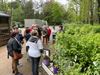 Beringen - Blueberry Fields kiest voor bio