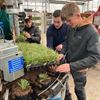 Bocholt - Unieke blik achter schermen plantenkwekerij
