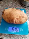 Houthalen-Helchteren - Een patat van 600 gram