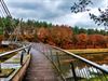 Lommel - Mooie herfstkleuren aan de voetgangersbrug