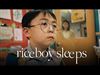 Pelt - Zebracinema: 'Riceboy Sleeps'
