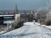 Beringen - Winterse taferelen (3)