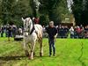 Beringen - Peter Peeters wint met Gust paardentrekwedstrijd