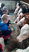 Tongeren - Kleuters op boerderijbezoek