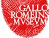 Tongeren - Pop-up Flitsend Verleden in Gallo-Romeins Museum