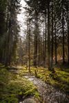 Genk - Stad krijgt nieuw natuurbeheerplan