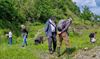 Houthalen-Helchteren - Wandeling op het REMO-stort