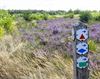 Genk - Schemmersberg: een verborgen parel