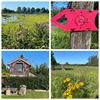 Beringen - Wandeldag in Lummen