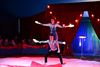 Beringen - Extra voorstellingen Circus Tetam