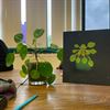 Hechtel-Eksel - Creatief met Groene Vingers