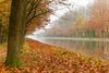 Lommel - Herfst, wat een kleurenpracht!