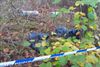 Beringen - Afval wietplantage gedumpt in Beverlo