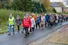 Beringen - 93 wandelaars voor seniorenwandeling