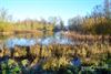 Hechtel-Eksel - Afwateringsplas langs de Noord-Zuid