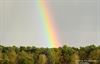 Peer - De eerste regenboog van 't jaar