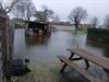 Beringen - Tuinen en kelders onder water, stad zoekt oorzaak