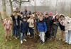 Beringen - Ruim 8000 extra bomen