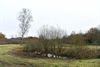 Leopoldsburg - Natuurherstel in vallei van de Grote Beek