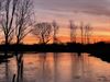 Beringen - Cursus natuurfotografie in De Watersnip