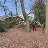 Oudsbergen - Josh en de reus