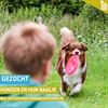 Bree - Stad zoekt honden en hun baasjes