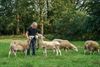 Beringen - Dit weekend weer Ambachtenroute