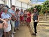 Beringen - Ferm Koersel snoept van lekkere aardbeien