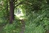 Pelt - Wandeling langs De Vrundenweg en Buurtweg nr 46