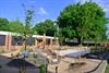 Beringen - Opening nieuwe school onder magische eik