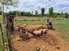 Beringen - Okra Beringen-Noord op uitstap