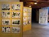 Beringen - Expo: Stemmen uit de droogte