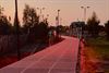 Beringen - Rood licht voor vleermuizen