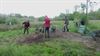 Oudsbergen - Meehelpen in de Vallei van de Abeek