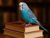 Hamont-Achel - Blauwe parkiet vliegt bibliotheek Hamont binnen