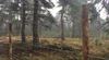 Hamont-Achel - Meeste ecorasters in Limburg