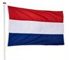 Pelt - Eén op  vijf buitenlanders is Nederlander