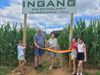 Beringen - Maïsdoolhof officieel geopend