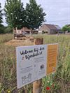 Bree - Bijenburcht in Bree: veilige thuishaven voor bijen