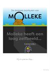 Hamont-Achel - Molleke - 26 juli '25