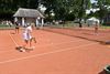 Beringen - Tennis Beringen mag 2 padelvelden bouwen