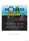Pelt - Molleke - 9 augustus '25