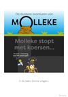 Bree - Molleke - 16 augustus '25