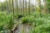 Oudsbergen - Met de voeten in het water in de Itterbeekvallei
