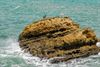 Oudsbergen - Le Rocher de la Surprise in Biarritz