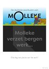Leopoldsburg - Molleke - 20 september '25