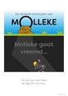 Leopoldsburg - Molleke - 27 september '25